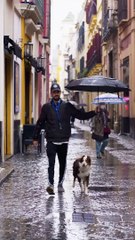 Man Holds Umbrella for His Dog While It Rains