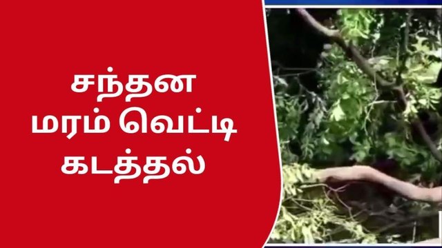 அம்பை:சந்தன மரம் வெட்டி கடத்தல் போலீசார் விசாரணை