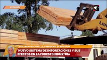 Nuevo sistema de importaciones y sus efectos en la forestoindustria
