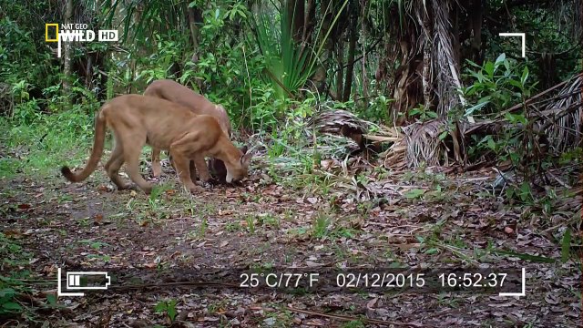 Amerikas Nationalparks Staffel 1 Folge 3 HD Deutsch
