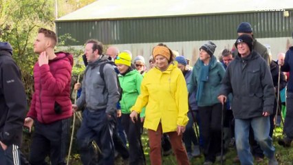 Ein alter irischer Brauch: Kühe werden auf die Winterweide getrieben