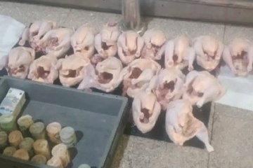 أغرب محاولة تهريب عملات أجنبية