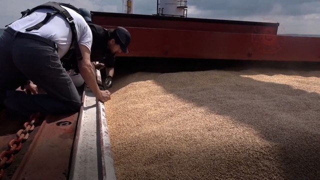 Le conflit en mer noire sur les exports de céréales ukrainiennes fait exploser les prix du blé