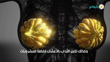 تكبير الصدر طبيعياً