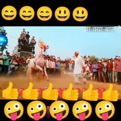 घोड़ा का नागिन डांस, funny silent motions,funny silent motions 2022,