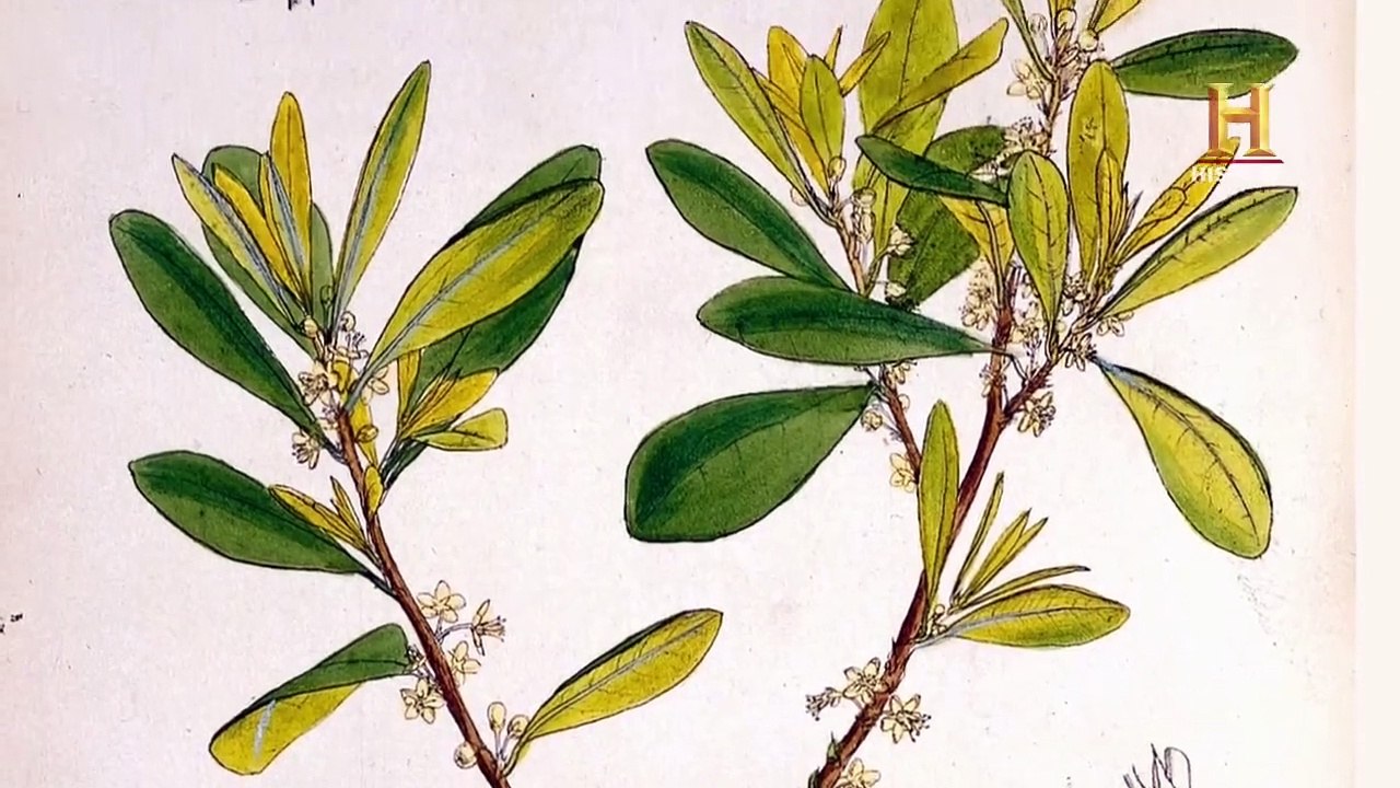 So isst Amerika - Pioniere des Fastfood Staffel 1 Folge 1 - Part 01 HD Deutsch