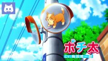 Nattara Suki na Hito ni Hirowareta - Official Trailer