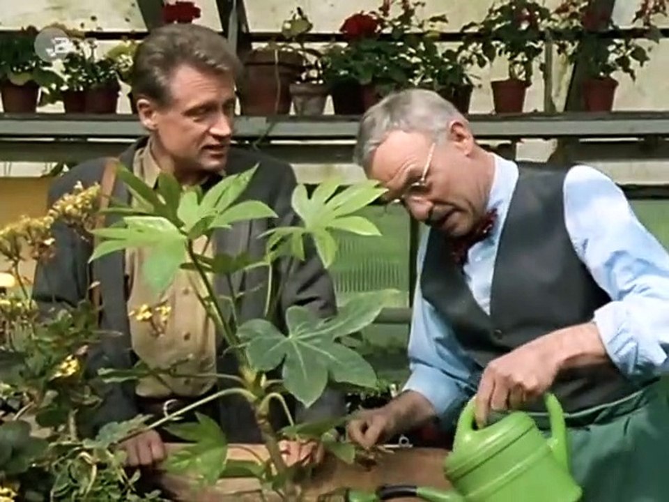 Unser Lehrer Doktor Specht Staffel 3 Folge 1 HD Deutsch