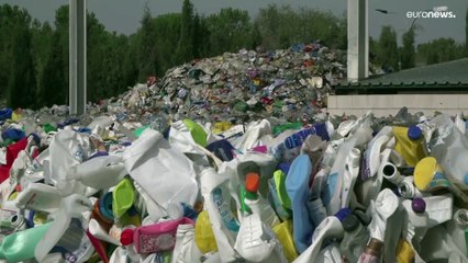 يرقات العثة هي الحل لتفكيك التلوث البلاستيكي