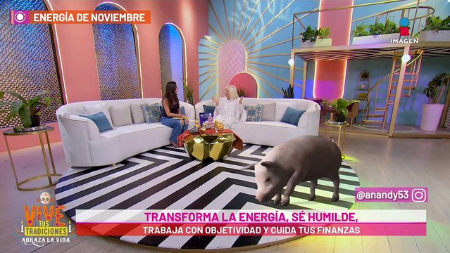 ¿Qué trae para ti el mes de noviembre según el Feng Shui?