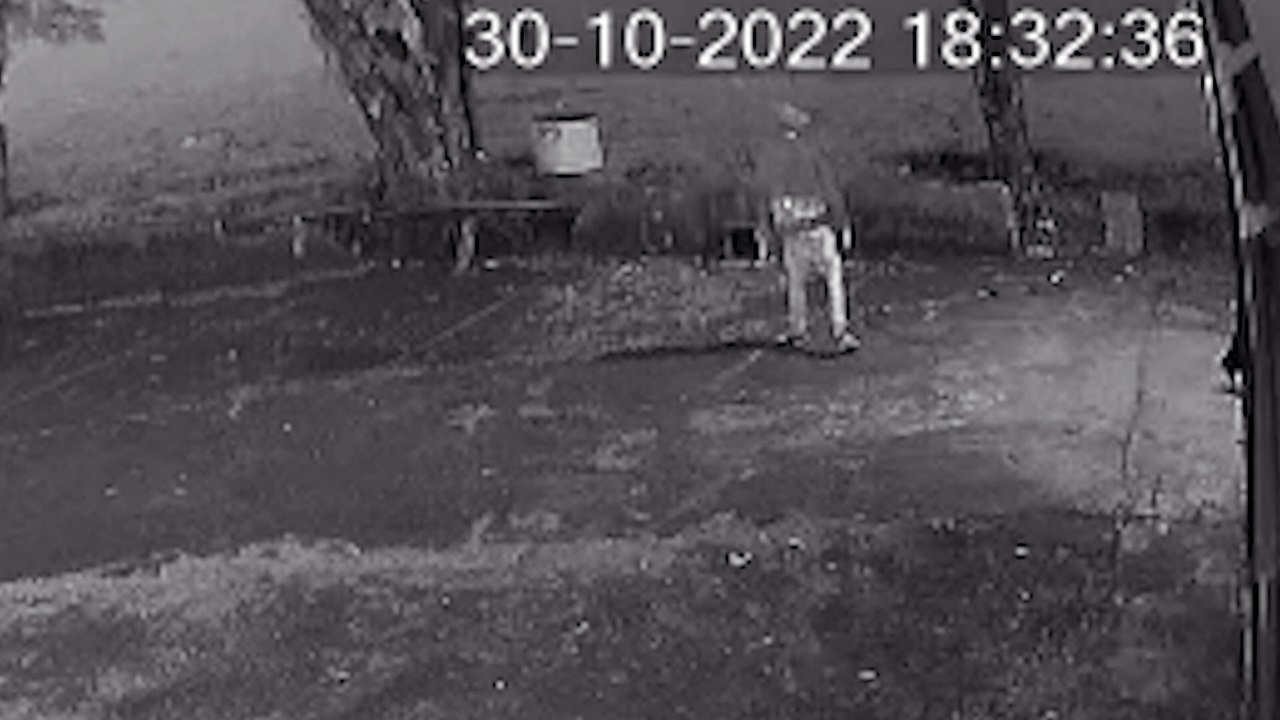 Ladrões furtam bonés de barracão em Apucarana