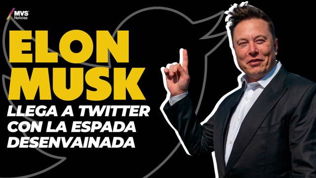 Elon Musk despide a todos los empleados de Twitter
