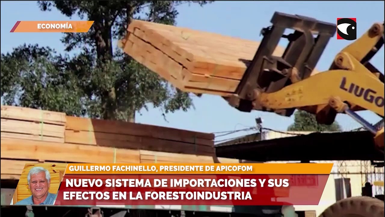 Nuevo sistema de importaciones y sus efectos en la forestoindustria