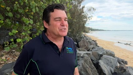 Researchers searching for ways to revive declining dugong populations off Qld coast