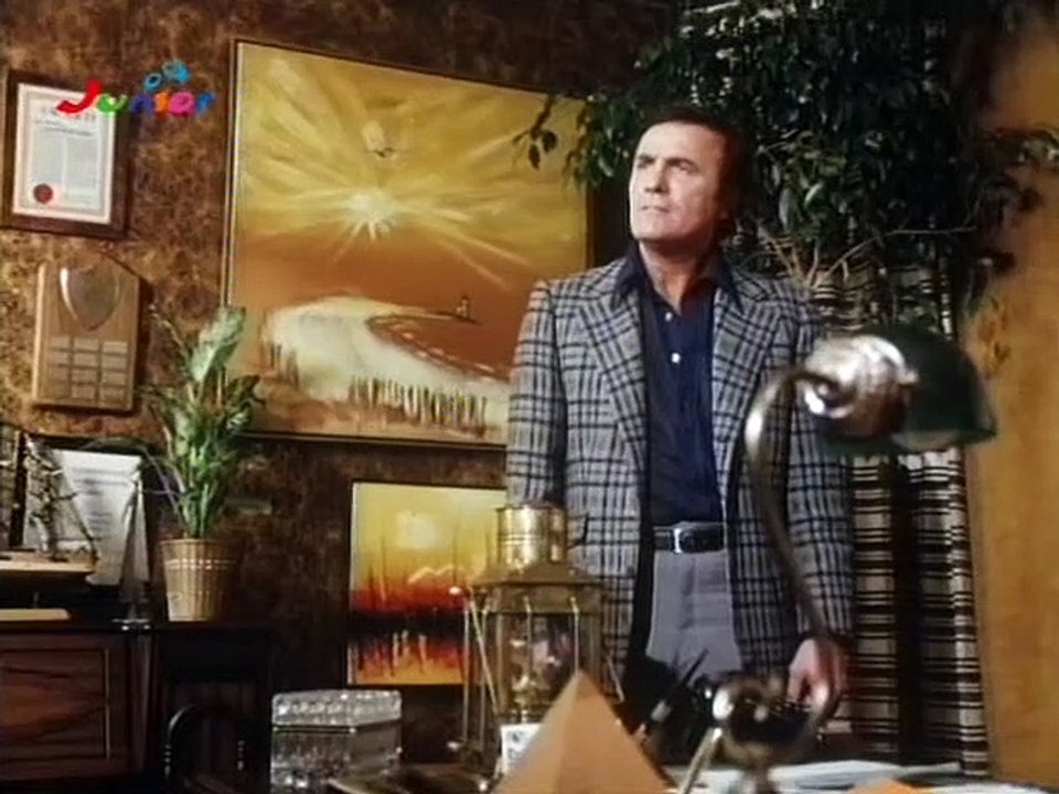 Boomer, der Streuner - Sein großer Auftritt