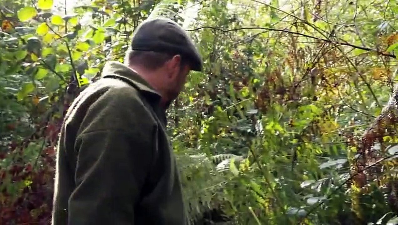 A Year in the New Forest - Se1 - Ep01 HD Watch HD Deutsch