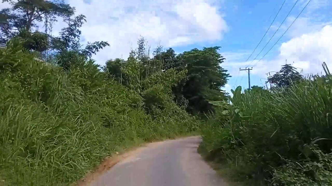 Beautiful Bangladesh.