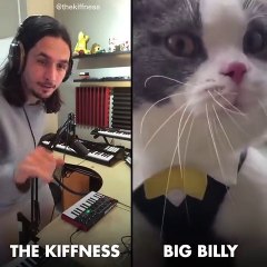 The Kiffness X Big Billy (Live Looping Talking Cat Remix)