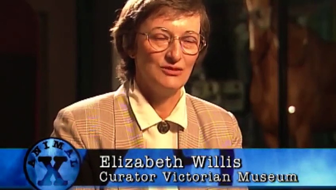 Animal X - Se1 - Ep09 HD Watch HD Deutsch