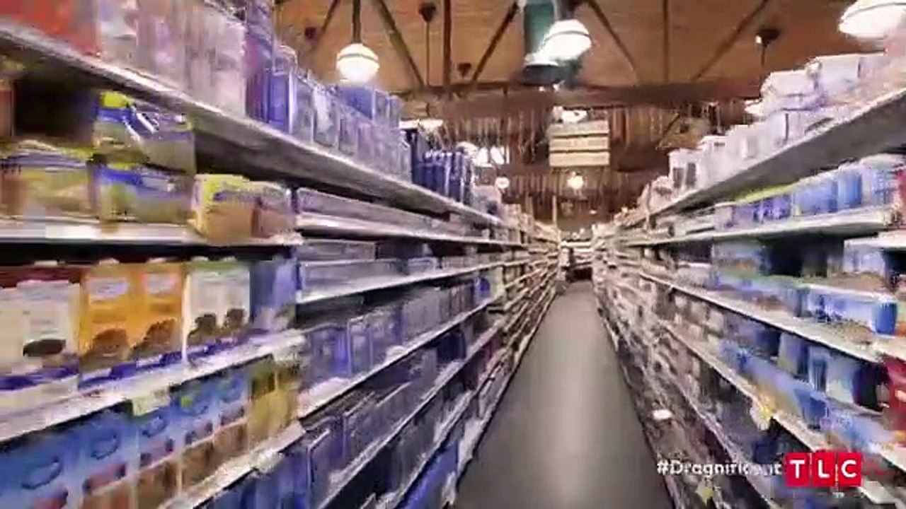 Dragnificent! - Se1 - Ep06 - Mermaid Fantasy HD Watch HD Deutsch