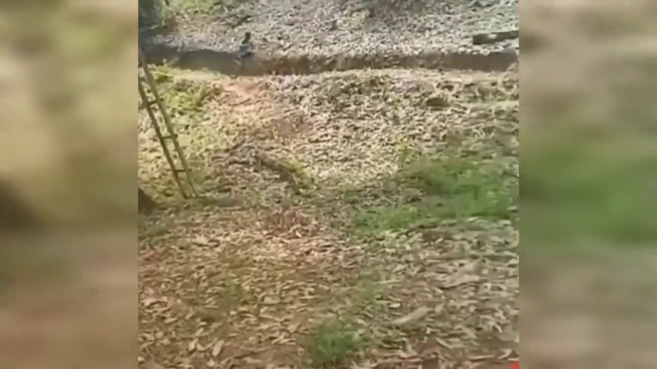 VIDEO LUCU BIKIN NGAKAK SAKIT PERUT _laughing_...