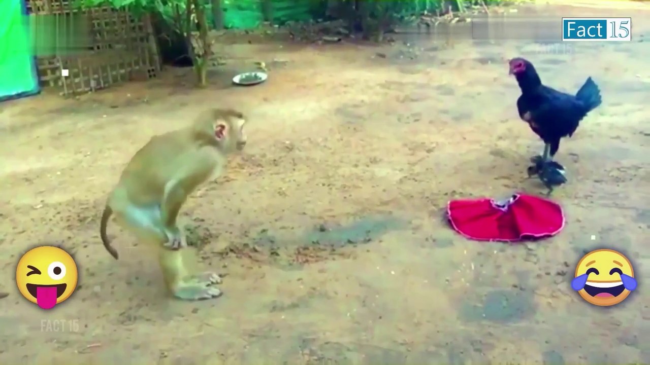इन जानवरों से पंगा तो हो जाओगे नन्गा।। ना बाबा ना ----.... Funny Animals Video 2022 (Part-3)(1080P_HD)