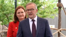 Govt considering stronger action to push energy costs down