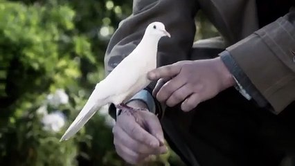 Manhattan - Se1 - Ep06 - Acceptable Limits HD Watch HD Deutsch