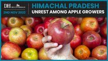 Himachal Pradesh | Will the apple growers’ protests affect the polls in the BJP governed state?