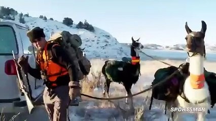 MeatEater - Se1 - Ep06 HD Watch HD Deutsch