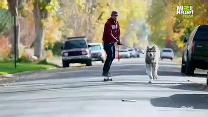 Dr. Jeff - Rocky Mountain Vet - Se1 - Ep06 HD Watch HD Deutsch