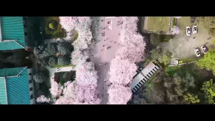 Disappearing Love (2022) Episode 2 English Subbed