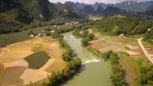 Pemandangan sawah