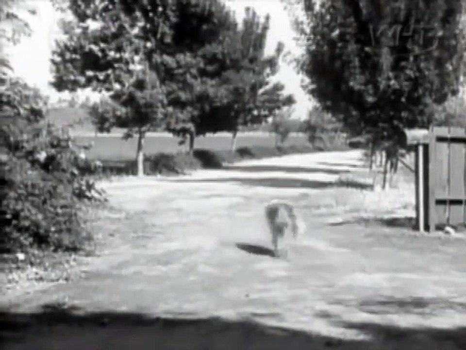 Lassie - Se1 - Ep03 HD Watch HD Deutsch