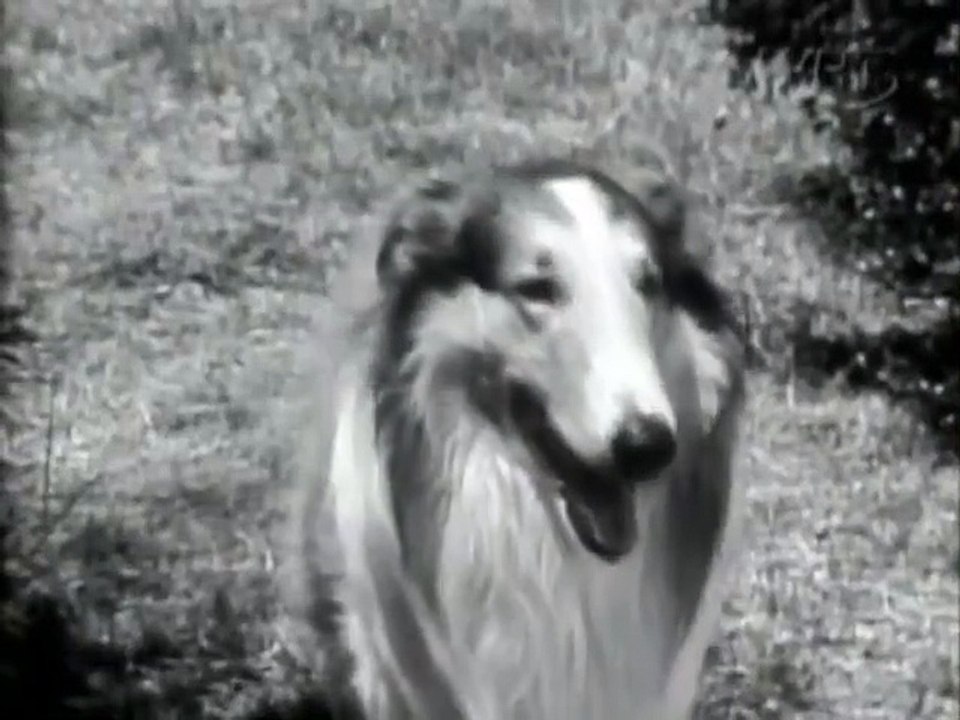 Lassie - Se1 - Ep06 HD Watch HD Deutsch