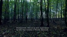 Trr in the Woods - Se2 - Ep02 HD Watch HD Deutsch