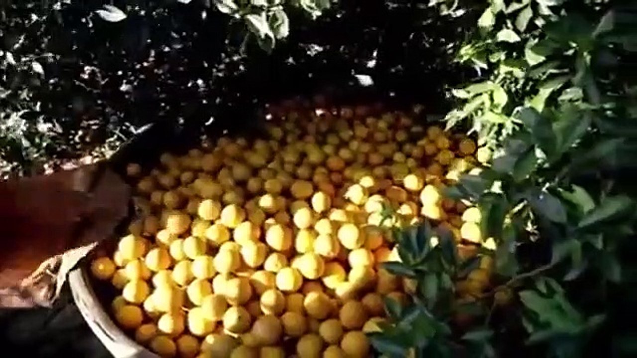 Morgan Spurlock Inside Man - Se1 - Ep03 HD Watch HD Deutsch