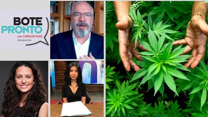 ¿Cómo va el tema de cannabis en México? | Bote Pronto