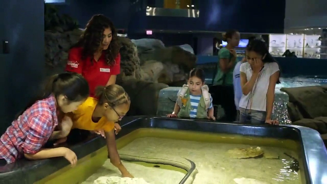 Dino Dana - Se1 - Ep09 HD Watch HD Deutsch