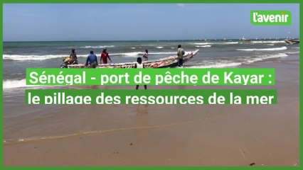 Sénégal : les ressources de la pêche
