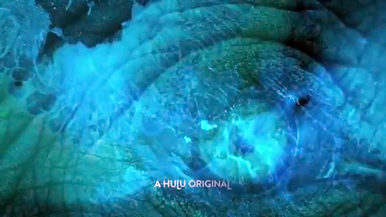 Endlings - Se1 - Ep05 - Curiosity HD Watch HD Deutsch