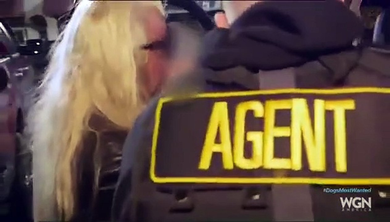 Dog's Most Wanted - Se1 - Ep03 - Alabama sweep HD Watch HD Deutsch