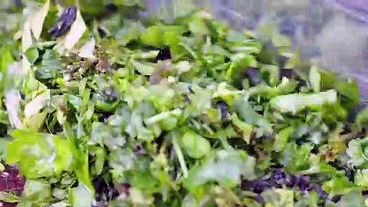 Flavorful Origins - Se1 - Ep10 HD Watch HD Deutsch