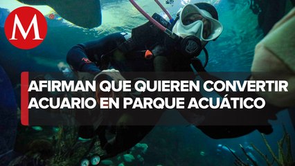 Control del gobierno estatal en Acuario de Veracruz genera incertidumbre