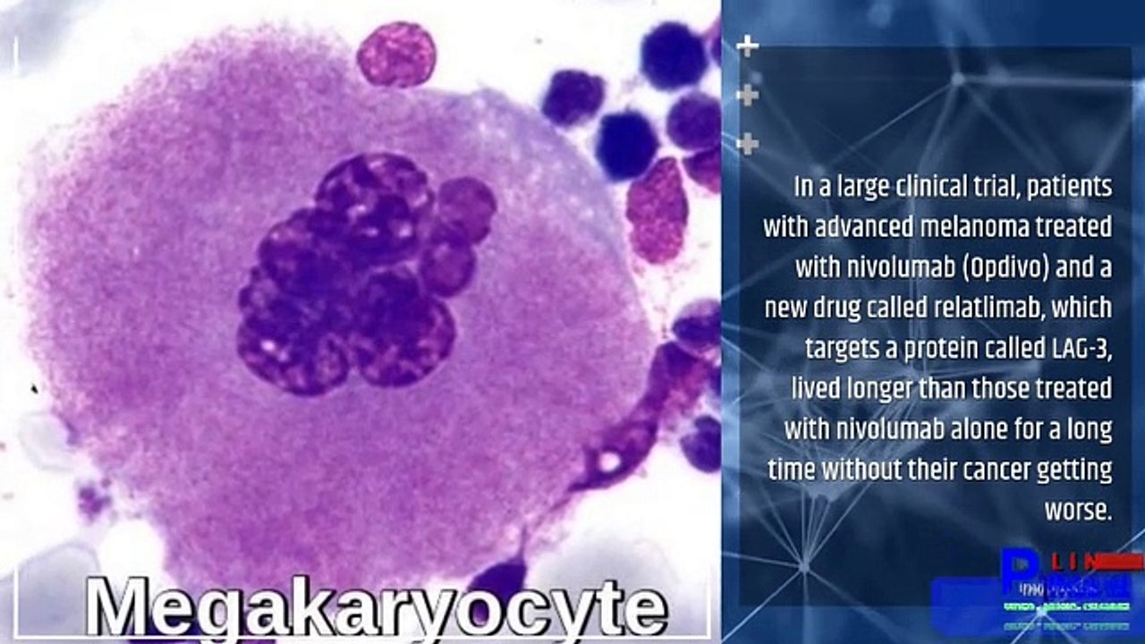 A biotech company has begun human trials of a drug discovered using artificial intelligence