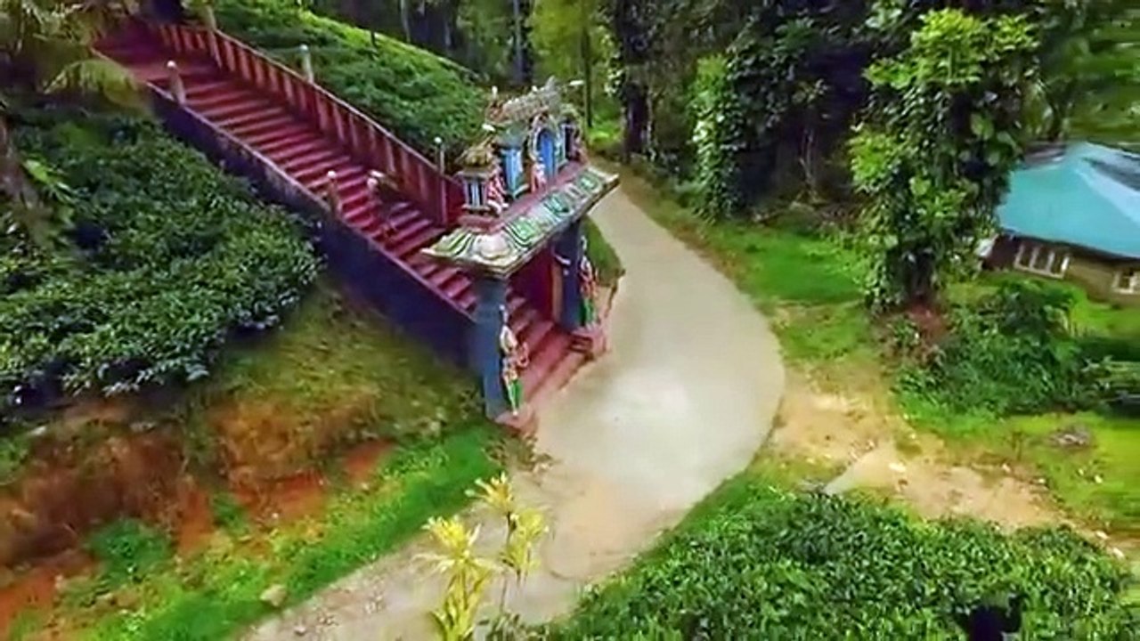 Evan Goes Wild - Se1 - Ep05 - Slender Loris Chorus HD Watch HD Deutsch