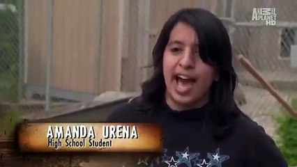 Pit Bulls and Parolees - Se1 - Ep04 HD Watch HD Deutsch