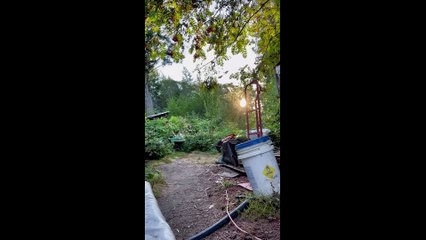 UNUSUAL MEMES COMPILATION 5