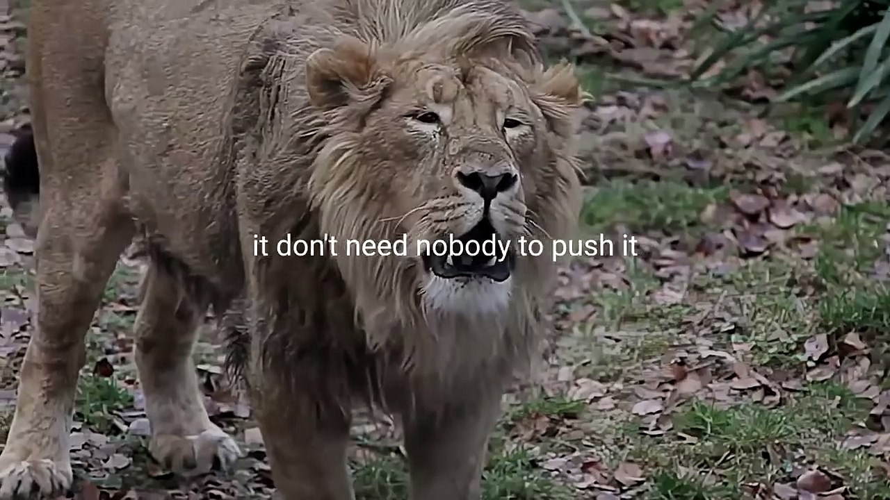 CHANGE YOUR MINDSET - Motivational Speech