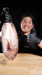 BEST-COOK-ASMR-FOOD-COOKING-Sea-Bream-Gr_65